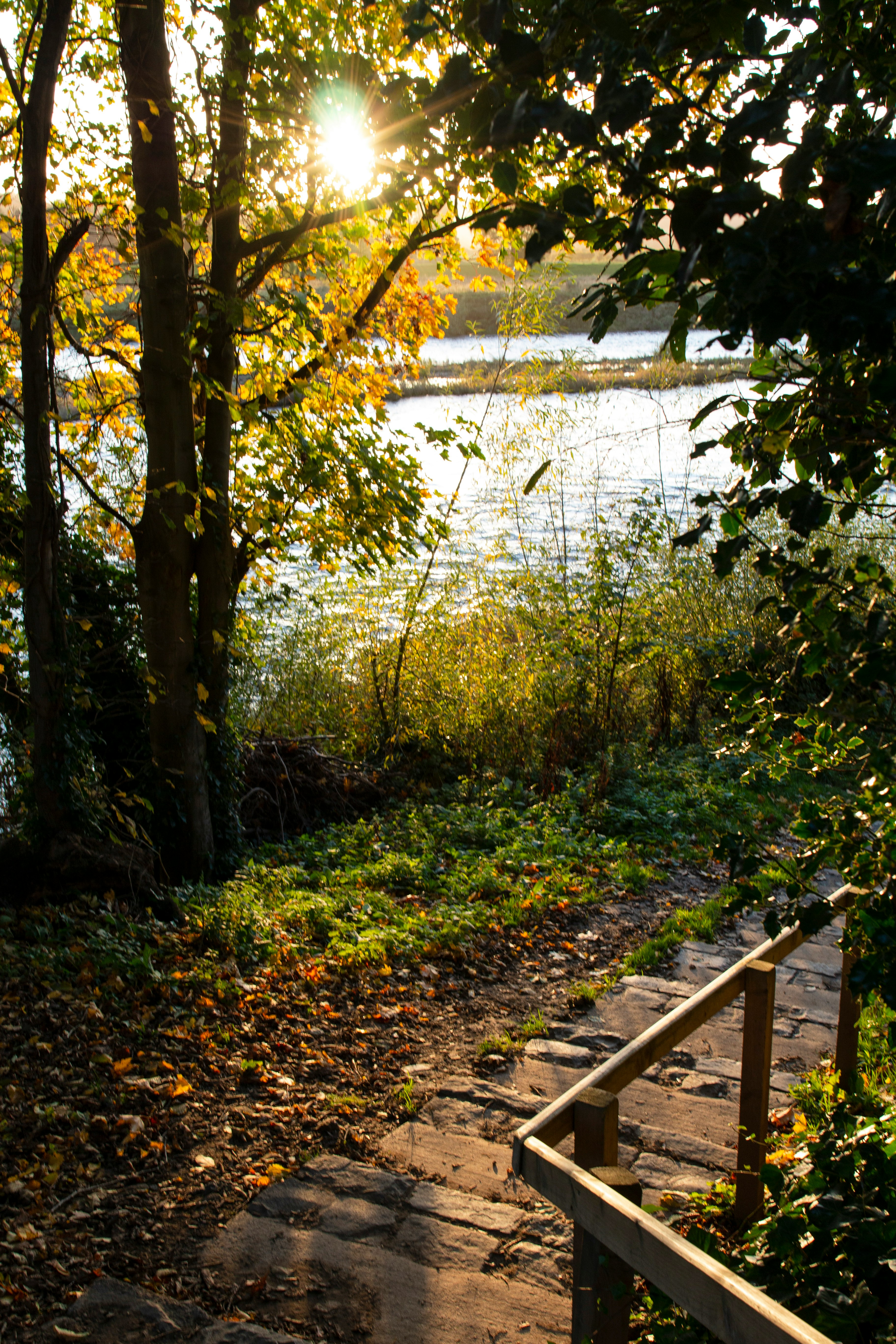 Randonnée sur les berges de l'Erdre — jeûne Buchinger Nantes