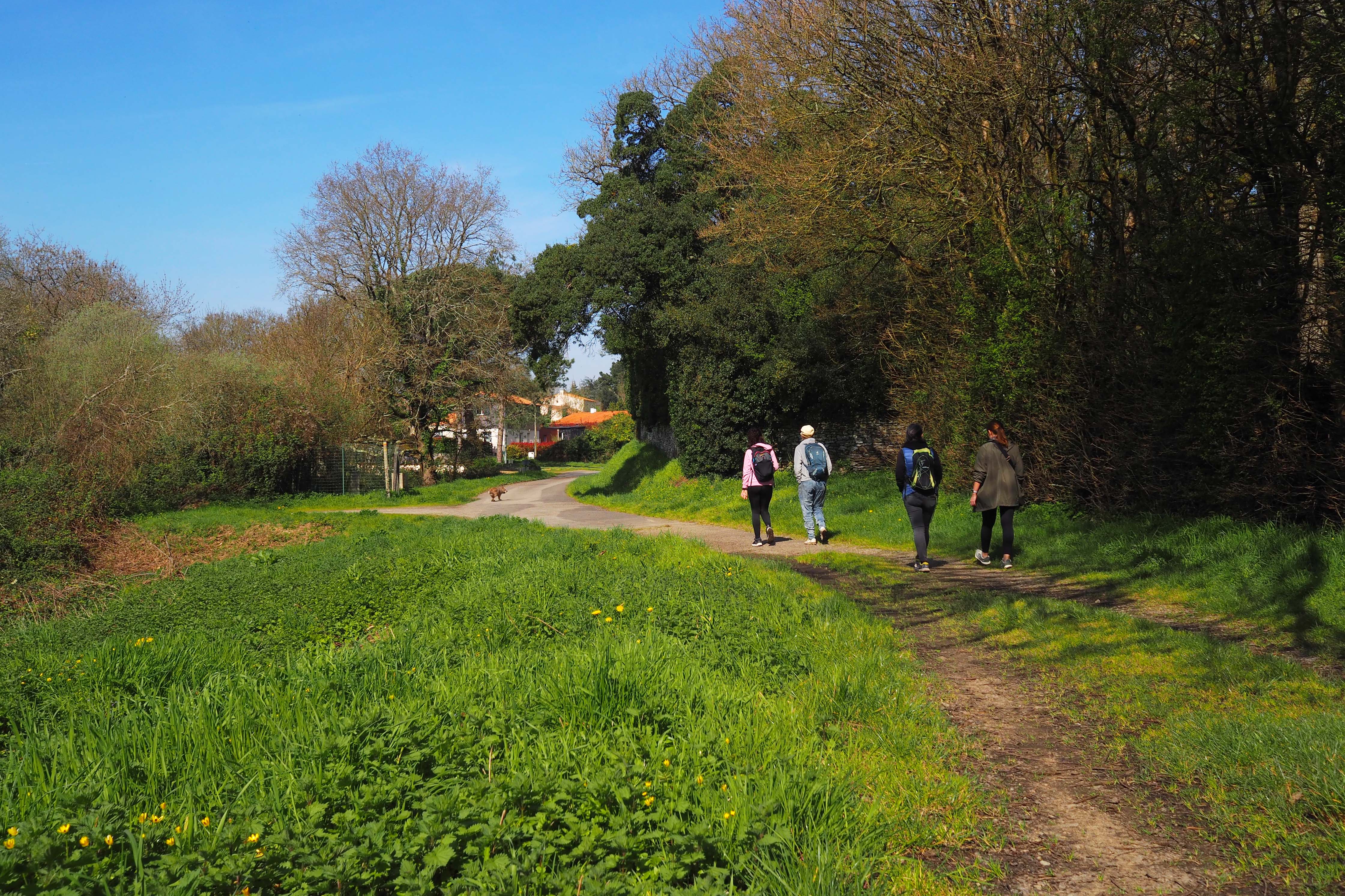 Groupe en randonnée sur un sentier de campagne autour de Nantes — jeûne Buchinger