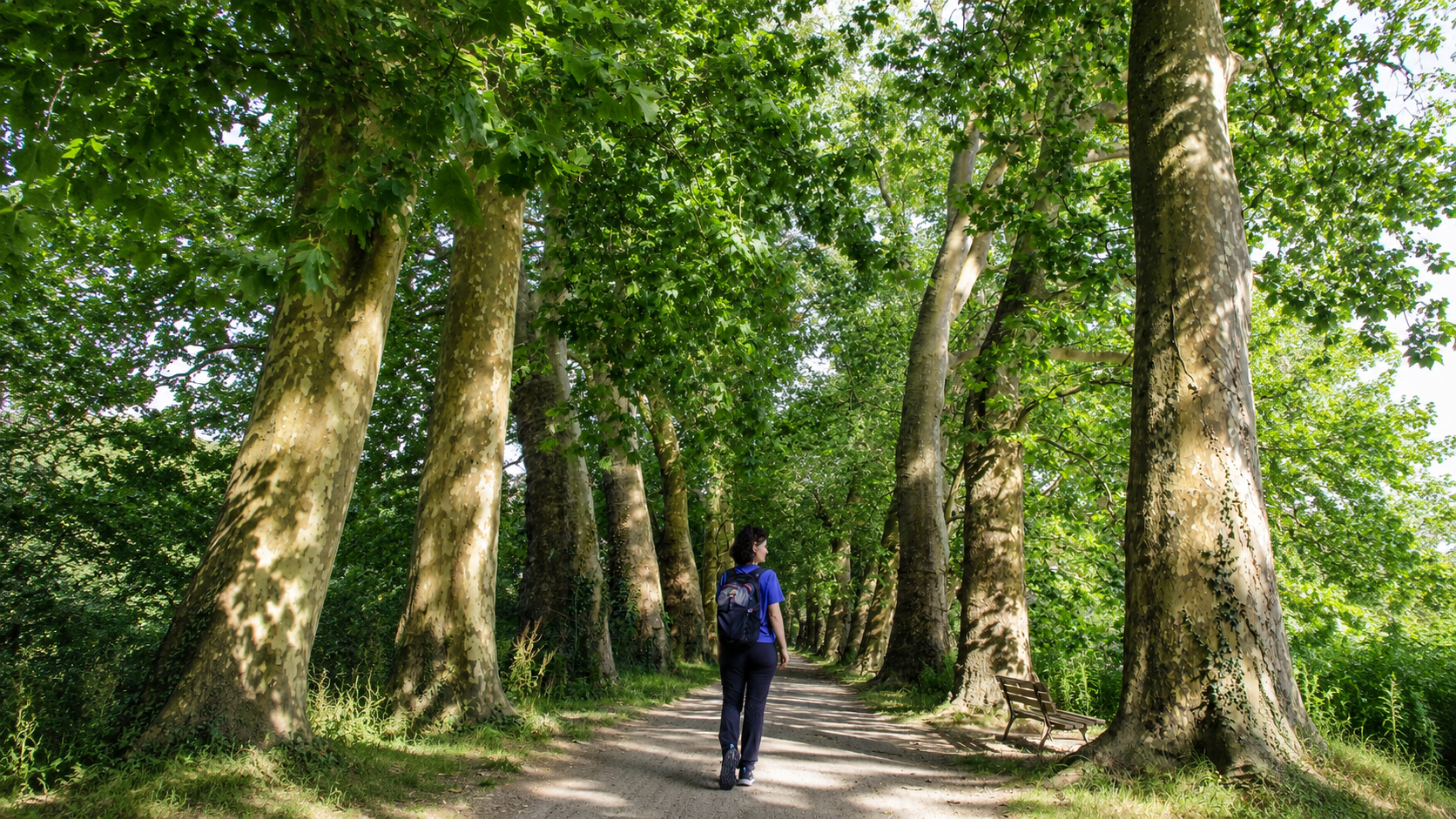 Hélène Lefort en randonnée sous les arbres — jeûne Buchinger Nantes