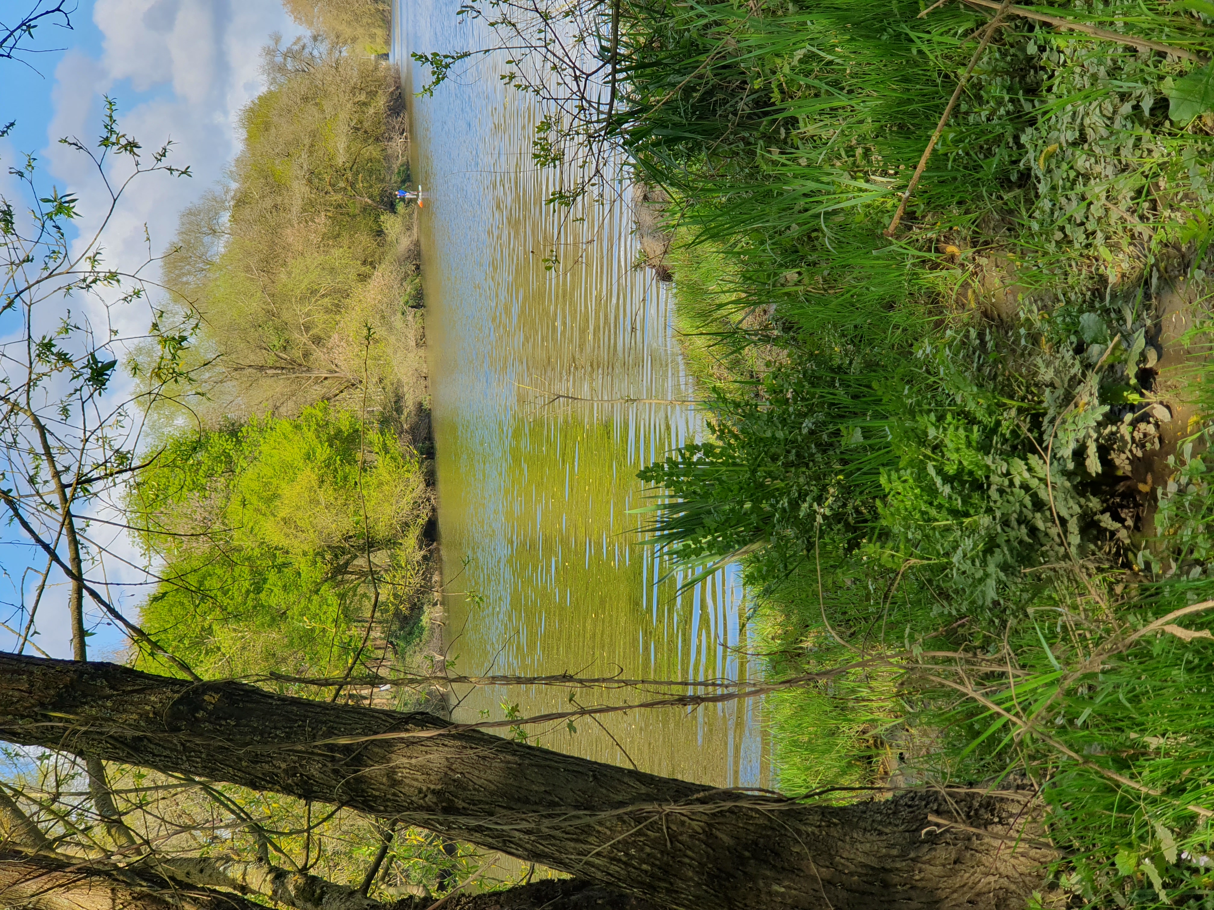 Bords de Loire — paysage de randonnée jeûne en Loire-Atlantique