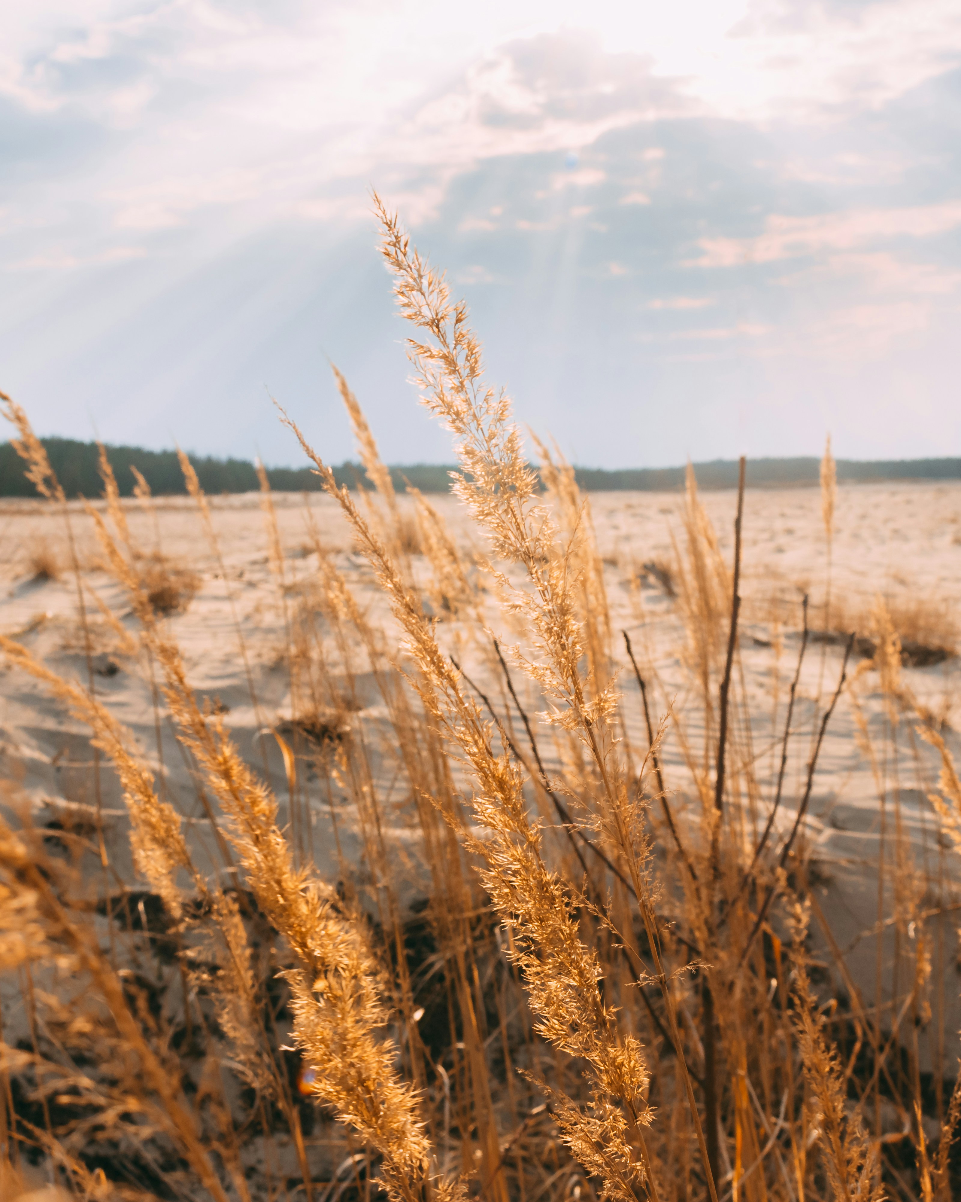 Paysage naturel apaisant — ressources sur le jeûne et la randonnée à Nantes