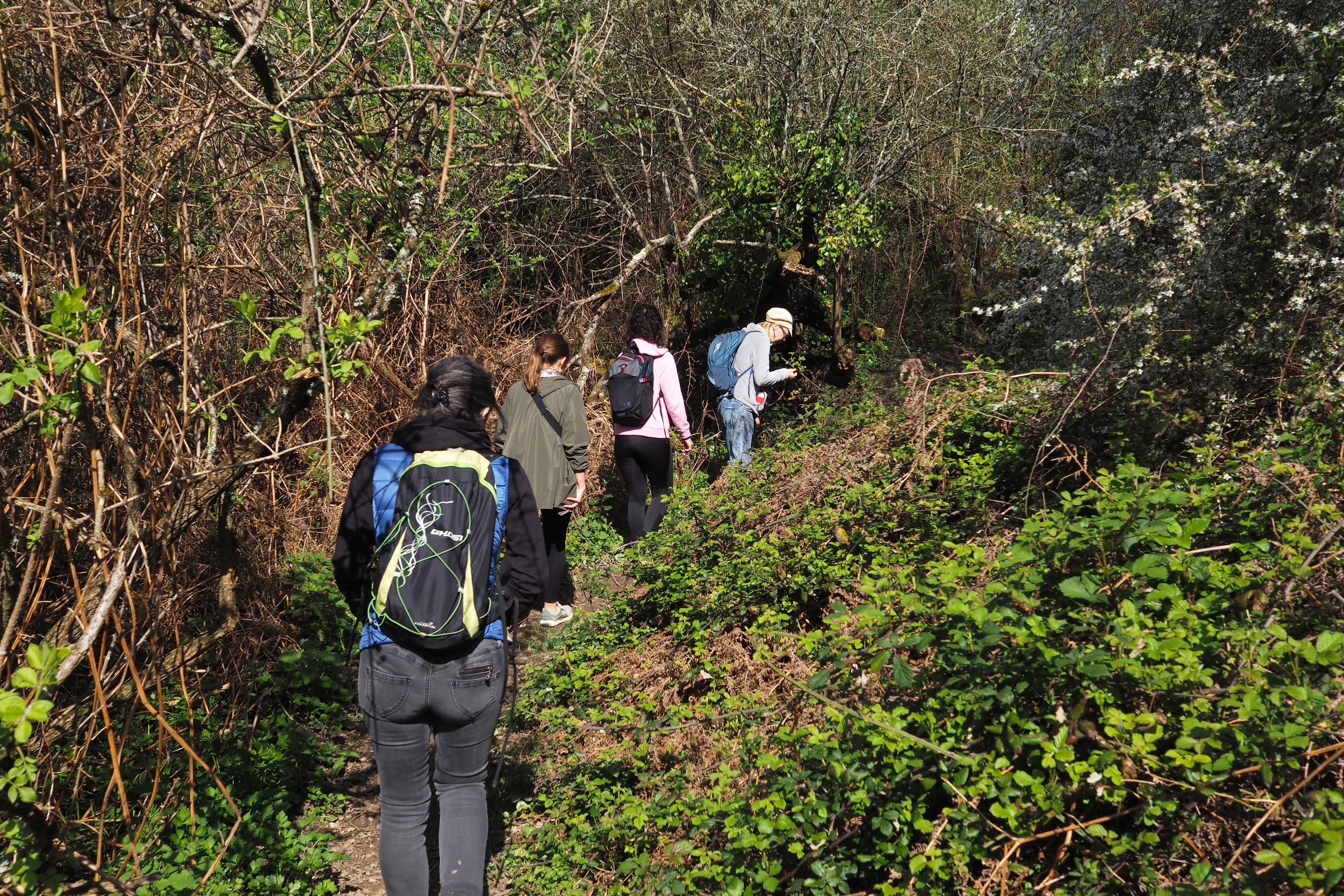 Groupe en randonnée sur un sentier — jeûne en Loire-Atlantique